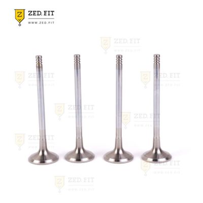 سوپاپ دود K7 AT,S5 1.5 GDI