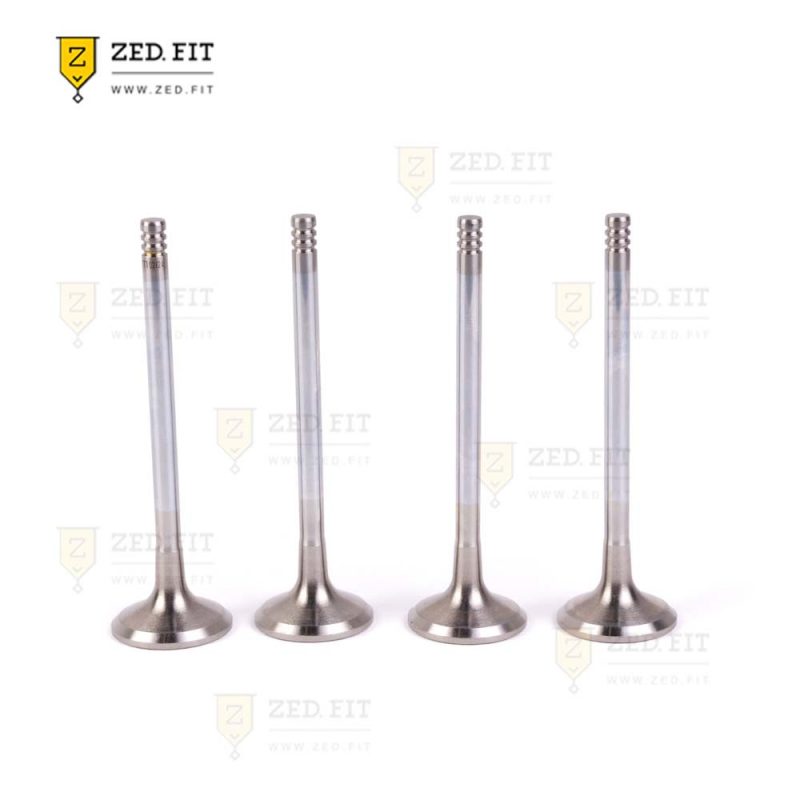 سوپاپ دود K7 AT,S5 1.5 GDI