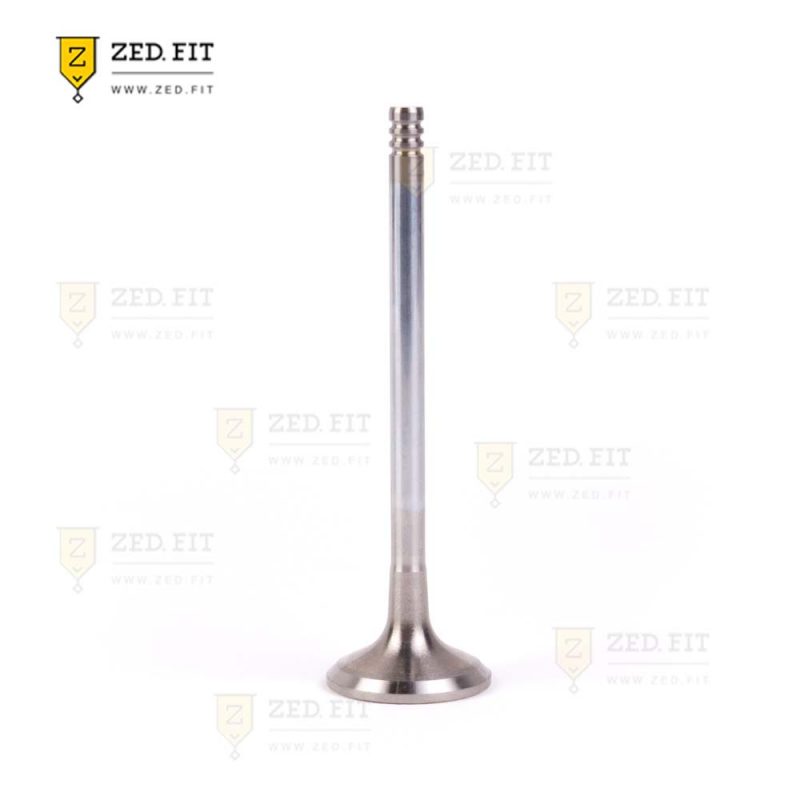 سوپاپ دود K7 AT,S5 1.5 GDI